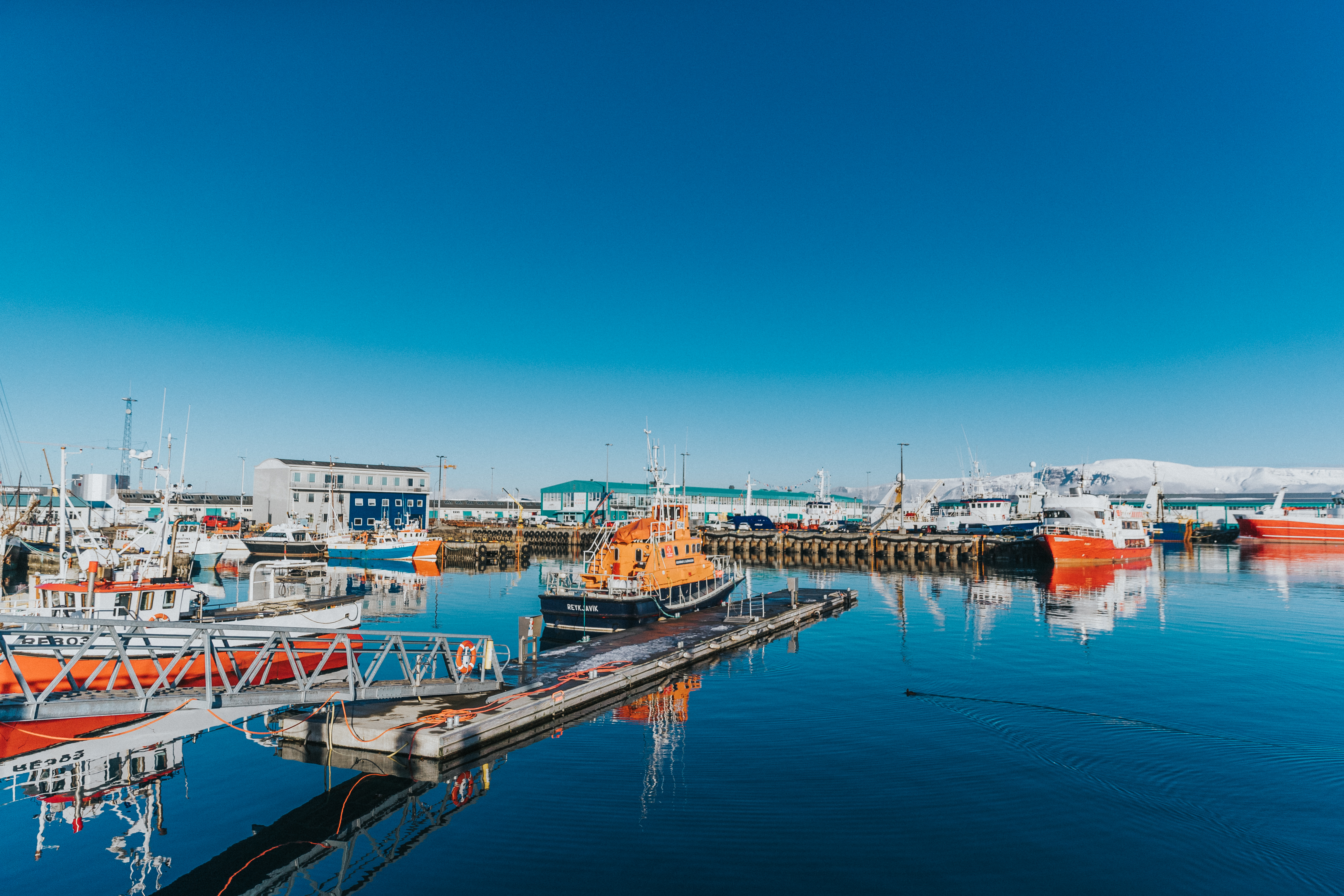 reykjavik old harbor 